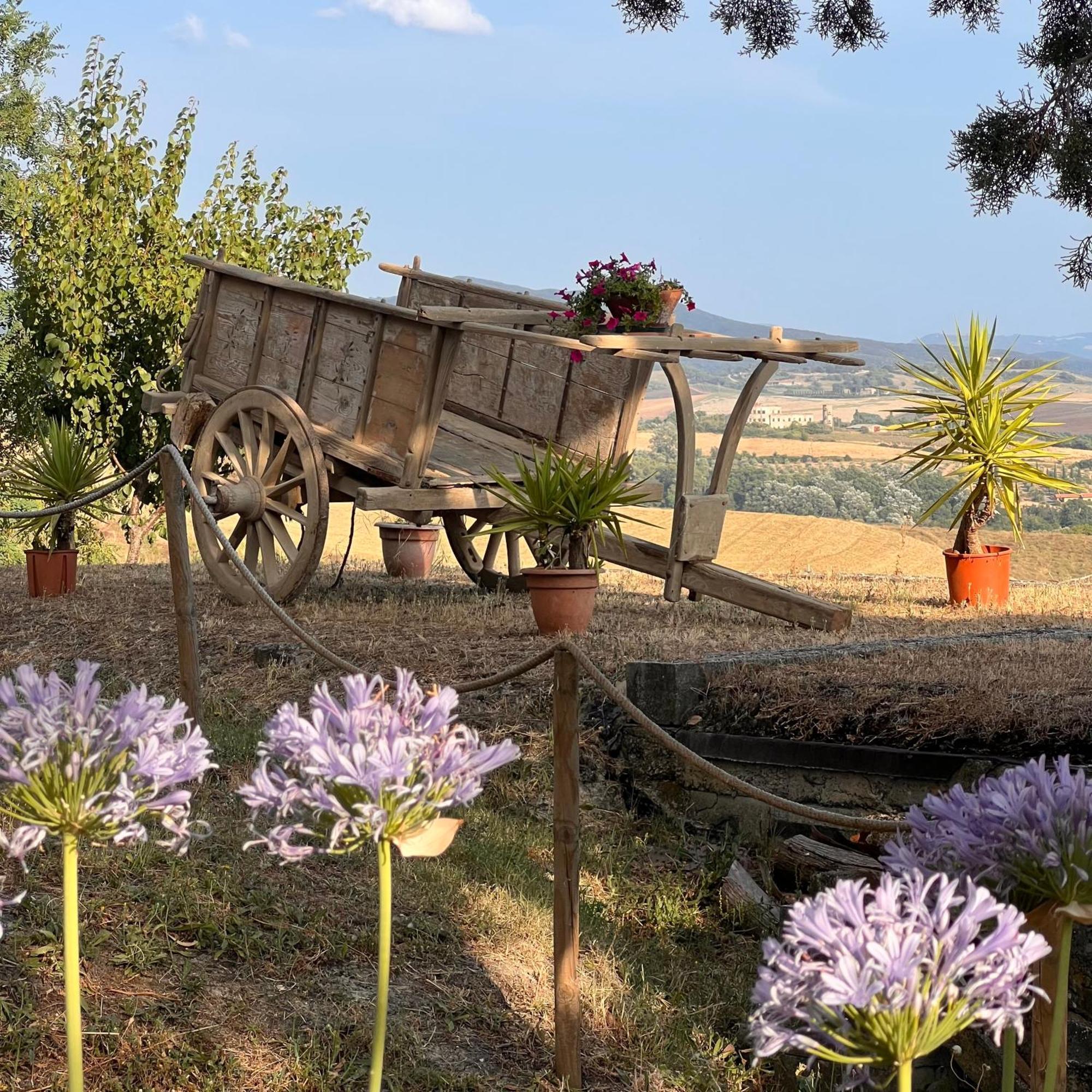 One-Bedroom Apartment Garden View